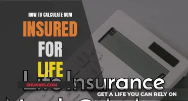 Calculating Sum Insured for Life: A Simple Guide