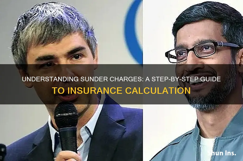 how to calculate sunder charges insurance