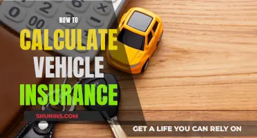 Calculating Vehicle Insurance Costs