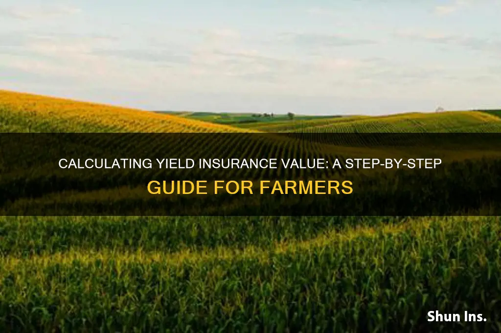 how to calculate yield insurance value