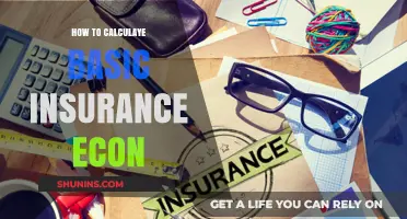 Mastering Basic Insurance Economics: A Step-by-Step Calculation Guide