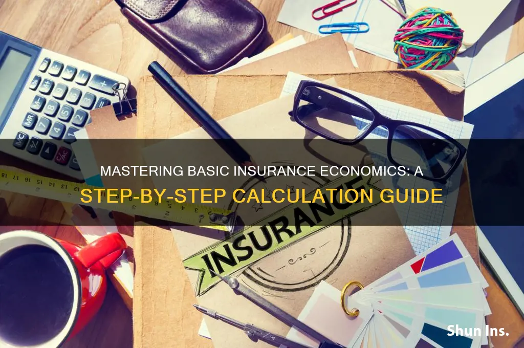 how to calculaye basic insurance econ