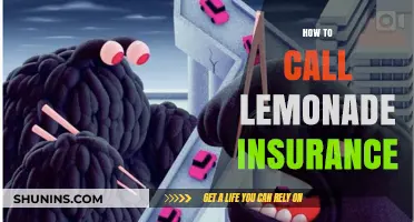 Lemonade Insurance: Quick and Easy Claims Calling
