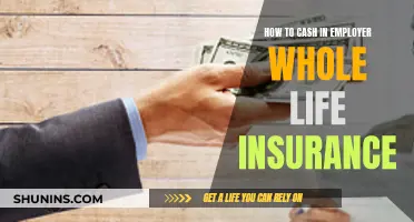 Cashing in on Employer Whole Life Insurance: Your Options Explained