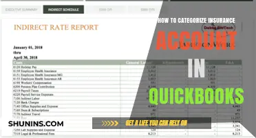 QuickBooks Insurance: Categorizing Your Accounts