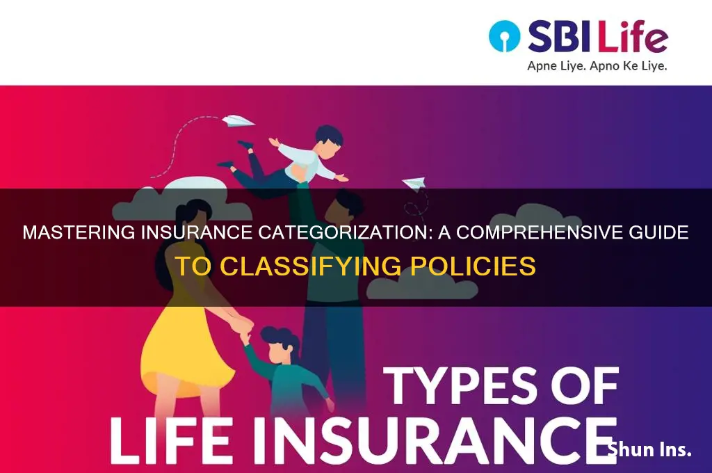 how to categorize insurance
