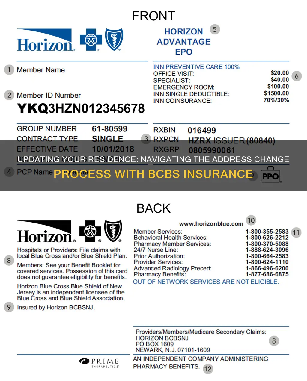 how to change address for bcbs insurance