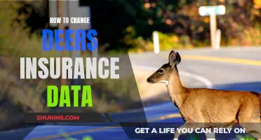 Updating Your Insurance Details: Navigating the DEERS System