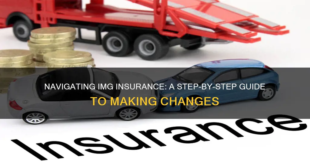 how to change img insurance