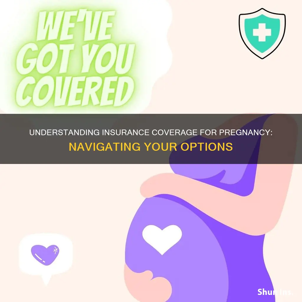 how to change my insurance starus as pregnant