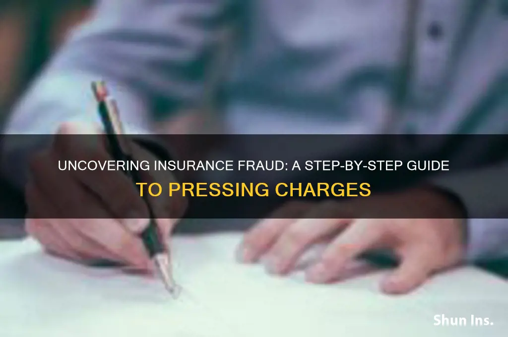 how to charge someone with insurance fraud