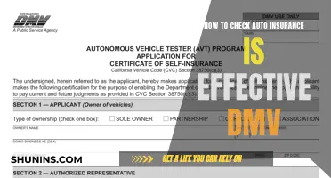 Auto Insurance: DMV Checks and Balances