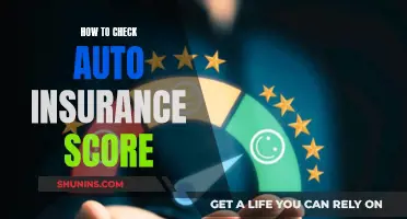 Understanding Your Auto Insurance Score