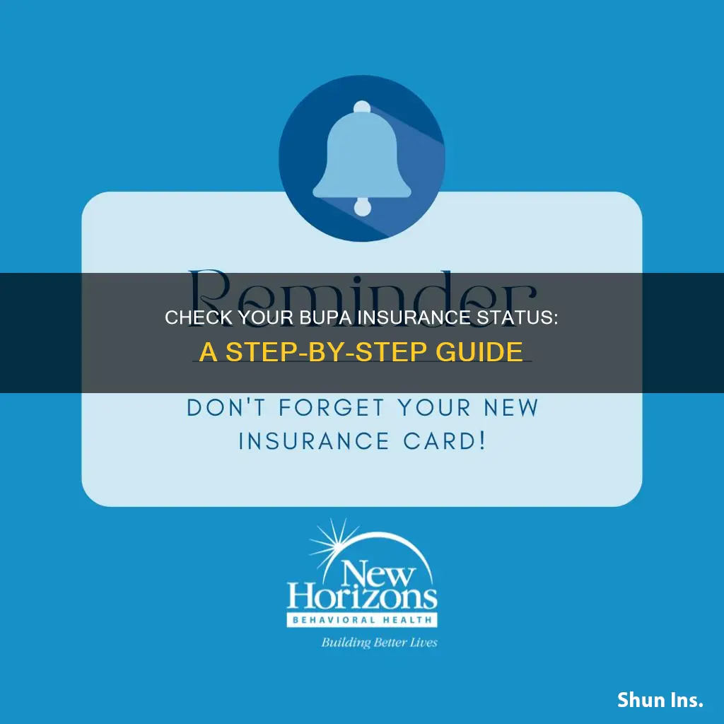 how to check bupa insurance status