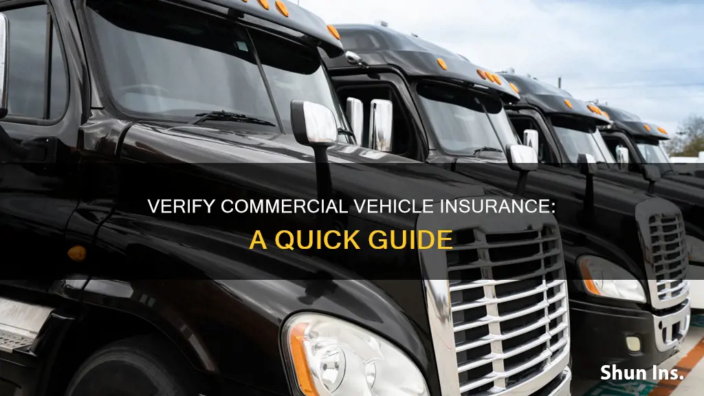 how to check commercial vehicle insurance