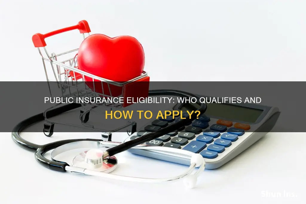 how to check eligibility for public insurance