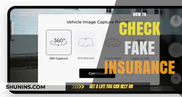 Spotting Fake Insurance: Tips to Stay Safe