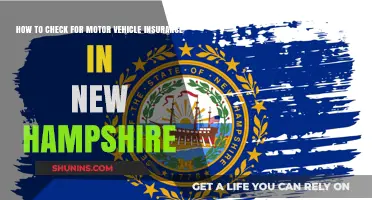 Verify Motor Vehicle Insurance in New Hampshire