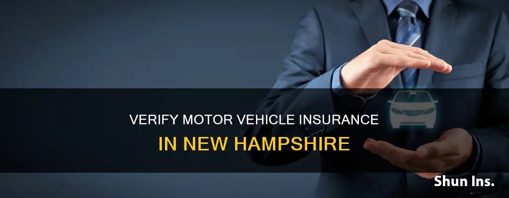 how to check for motor vehicle insurance in new hampshire
