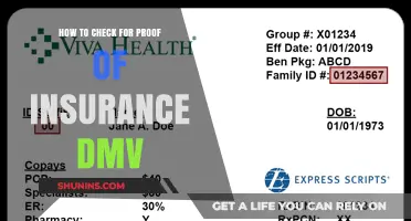 Check Your Proof of Insurance for the DMV