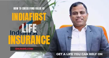 IndiaFirst Life Insurance: Check Your Fund Value