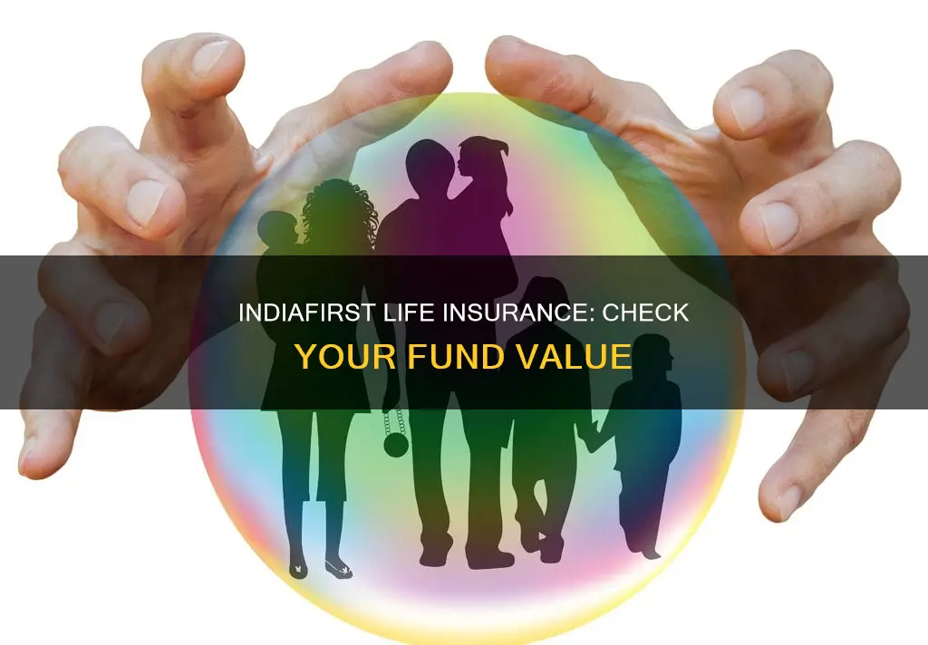 how to check fund value of indiafirst life insurance