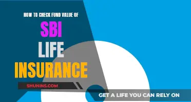 SBI Life Insurance: Checking Your Fund Value