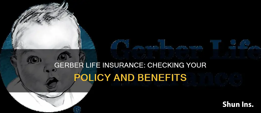 how to check gerber life insurance