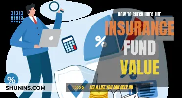 HDFC Life Insurance: Check Your Fund Value