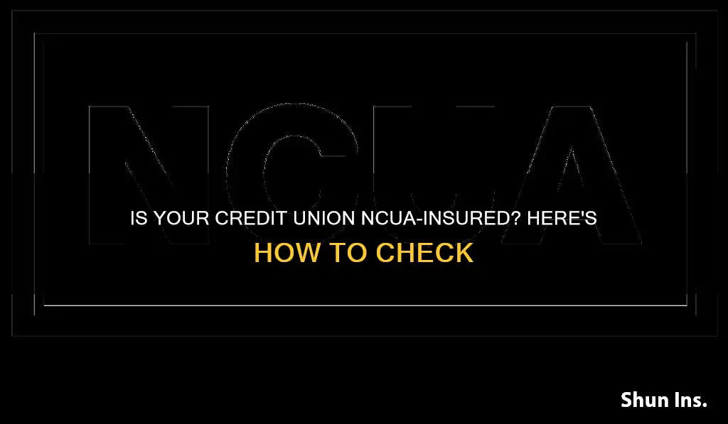 how to check if a credit union is ncua insured