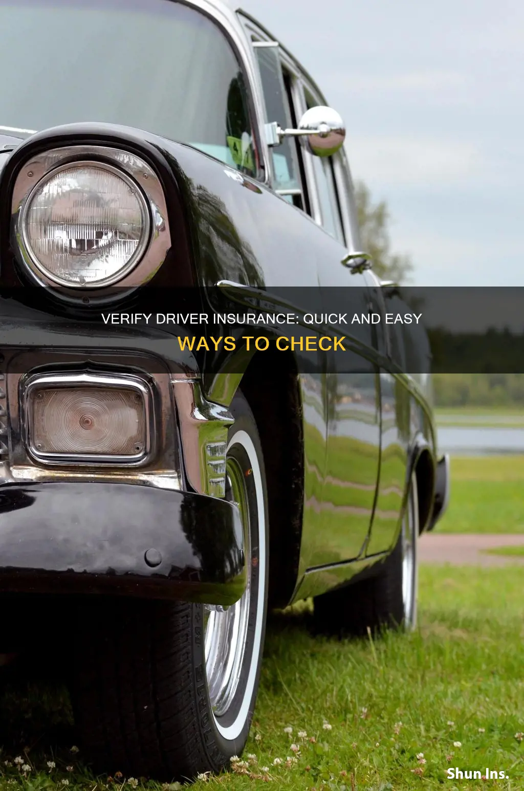 how to check if a driver is realky insured