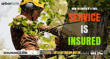Is Your Tree Service Insured? Here's How to Check