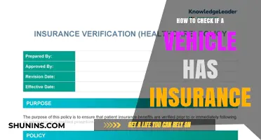 Verify Vehicle Insurance: Quick and Easy Methods