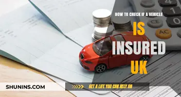 Is Your Vehicle Insured? How to Check in the UK