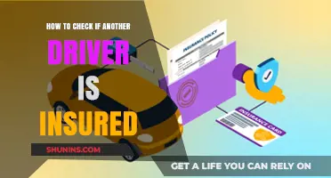 Verify a Driver's Insurance: Quick and Easy Ways