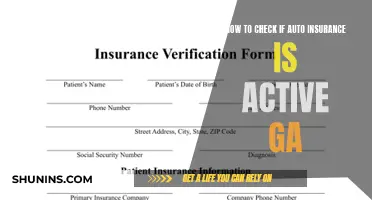 Verify Your Auto Insurance Coverage in Georgia