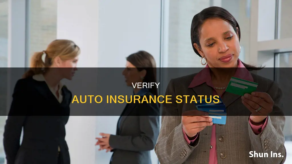 how to check if auto insurance is active