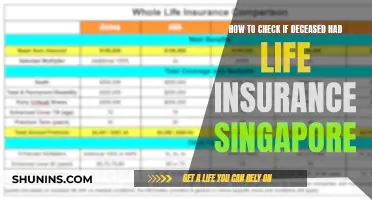 Life Insurance and Death: A Guide to Checking Policies in Singapore