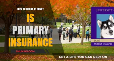 Is Your Husky Insurance Primary? Here's How to Check
