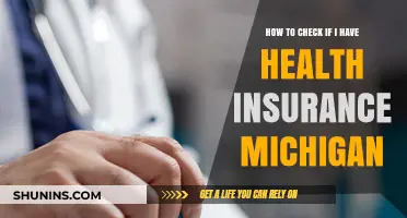 How to Verify Your Health Insurance Coverage in Michigan