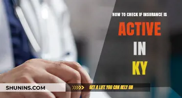 Verify Insurance Coverage in Kentucky: Quick and Easy Steps