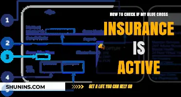 Verify Your Blue Cross Insurance Status: Quick and Easy Steps