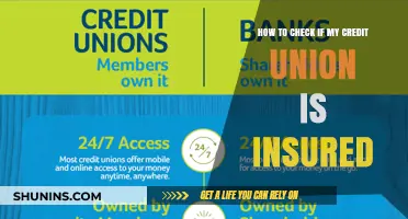 Is Your Credit Union Insured? How to Check