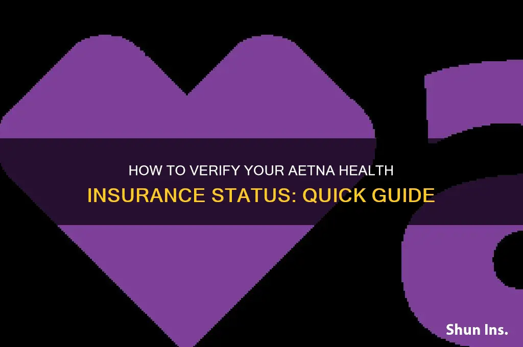 how to check if my health insurance is active aetna