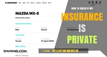 Understanding Your Insurance: Private or Public?