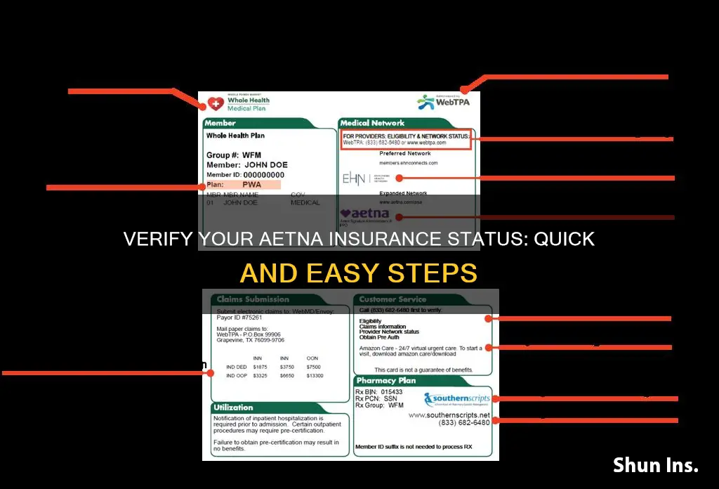 how to check if your aetna insurance is active