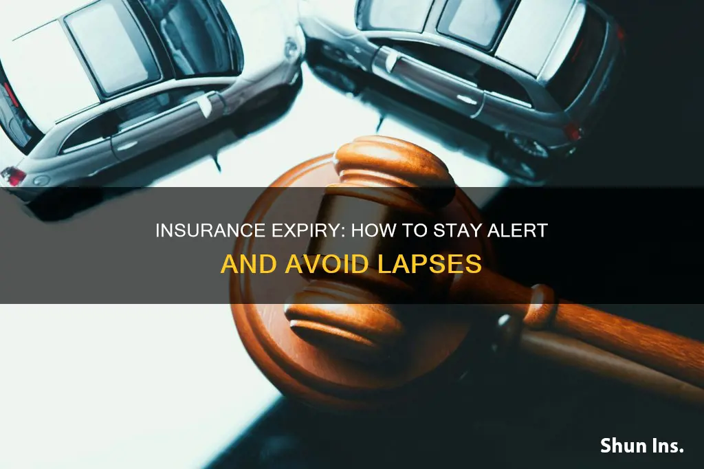 how to check insurance expiry date