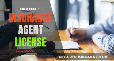 Verify a Life Insurance Agent's License: Quick Guide