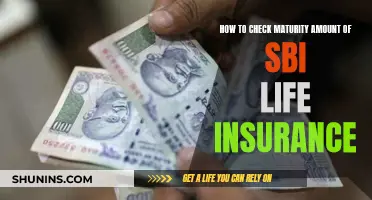 Maturity Amounts: Unlocking SBI Life Insurance Claims