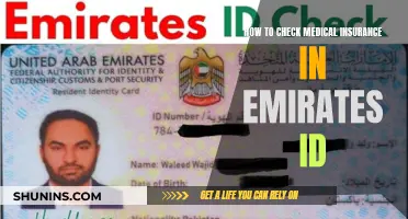 Emirates ID: Check Your Medical Insurance Status Easily